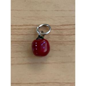 Red Apple Enamel Jewelry Charm